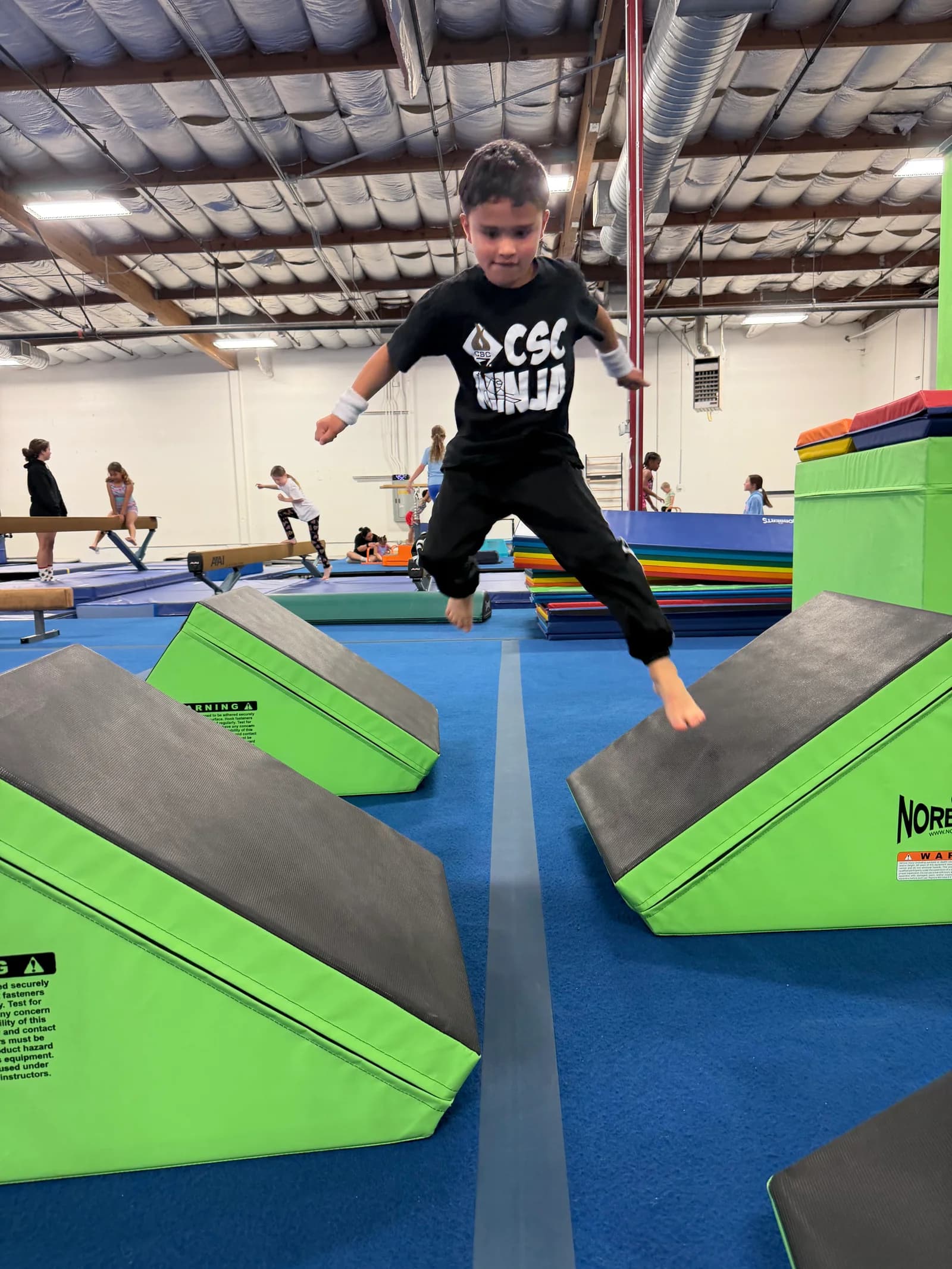 ninja blocks